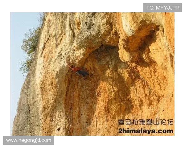 广州攀岩队在城市马拉松中的节奏表现与赛事点评分析